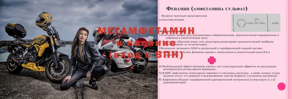 шишки Горно-Алтайск