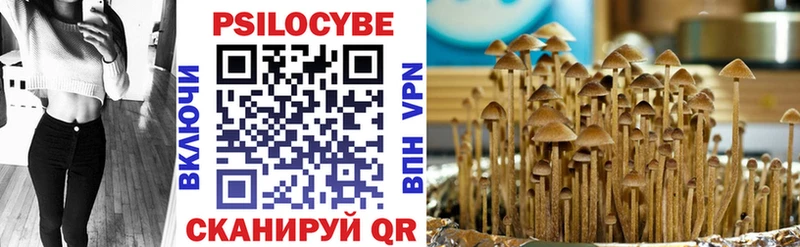 наркотики  Северская  Псилоцибиновые грибы Psilocybe 