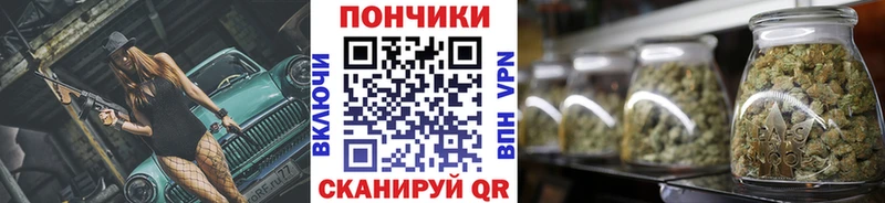 Бошки Шишки гибрид  Северская 